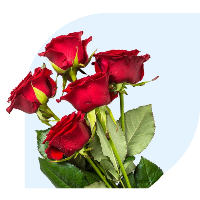 Funeral bouquets